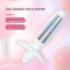 Rechargeable Remote Control Electric Shock Butt Plug for Men & Women - Silent Anal & Vaginal Masturbator