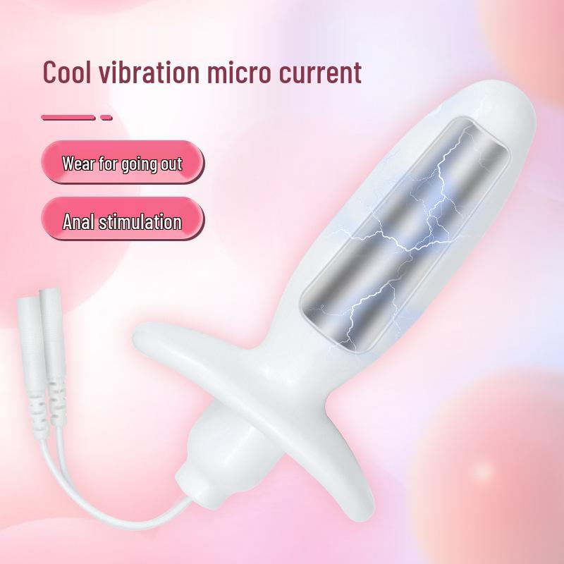 Rechargeable Remote Control Electric Shock Butt Plug for Men & Women - Silent Anal & Vaginal Masturbator