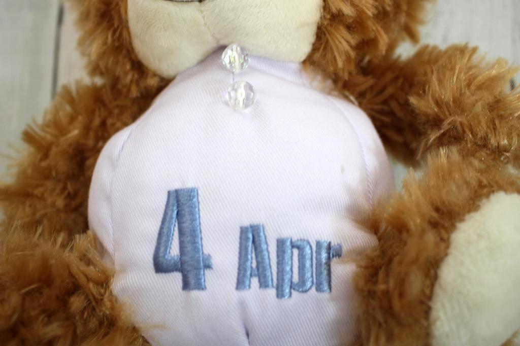 Take Off Plush Toy BEAR'S365 April Brown