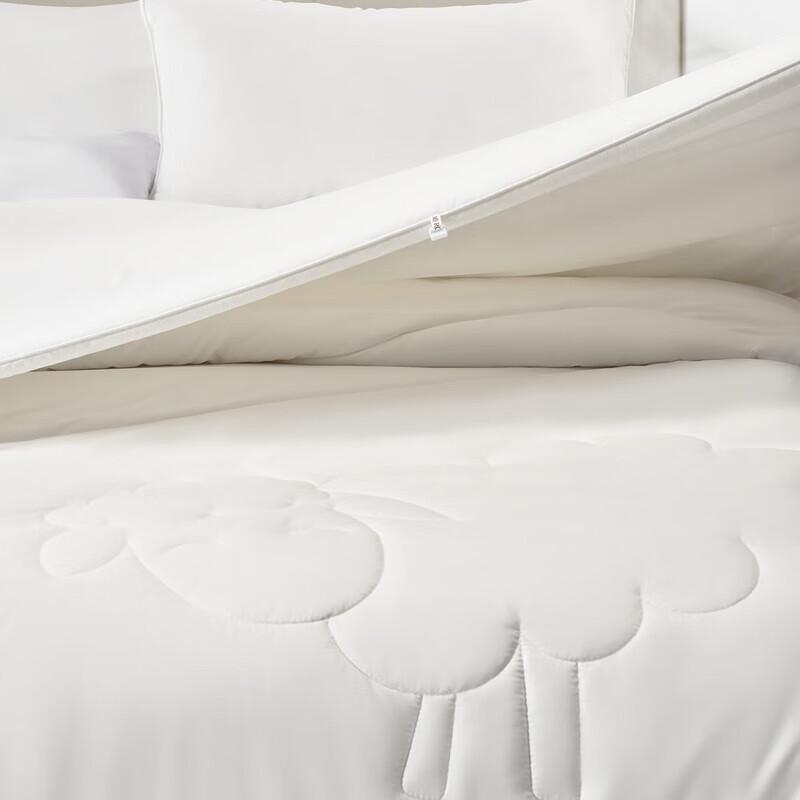 Mercury Home Textiles 60-Count Cotton Mulberry Silk Quilt