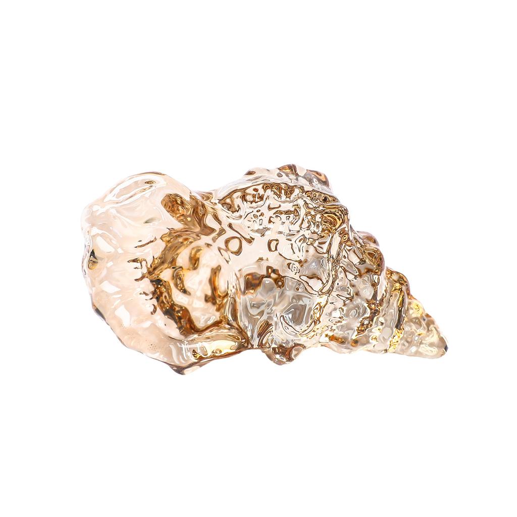 Crystal Craft Decorative Small Sea Shell Figurine Ocean Theme Tabletop Entrance Ornament Realistic Design for Home and Office Display 29 5x58mm 38g
