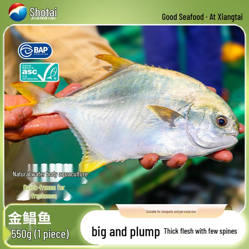 Hainan Large Golden Pomfret (550g, 1 piece)