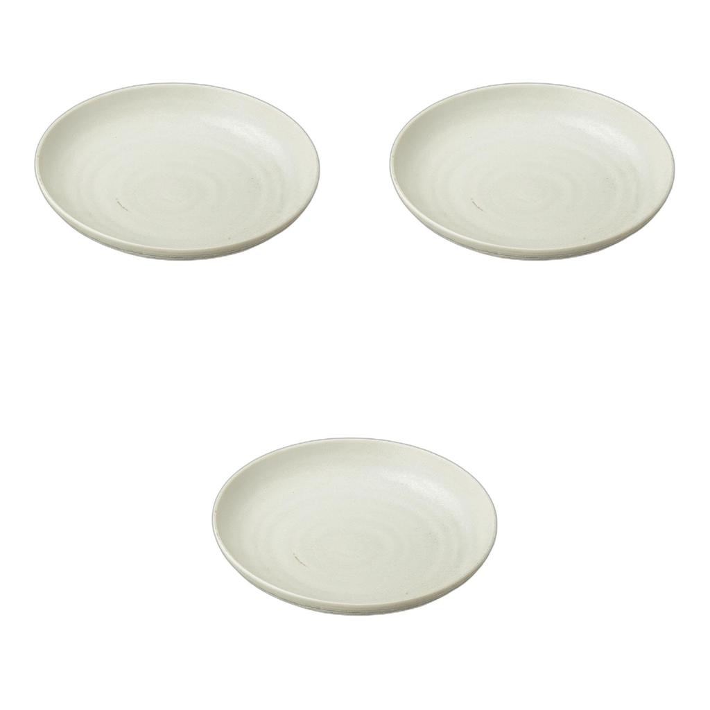 Set of 3 Ikoi Plates x Large Ceramic Plates by Setomonohonpo 8.0 [25 4cm]
