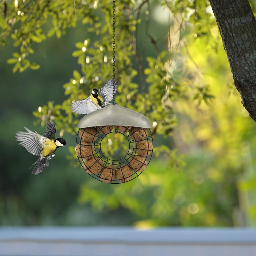Outdoor Bird Feeder Hanging Windproof Bird Feeder