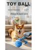 Interactive Dog Toy Ball with Barking Sound & Leash for Small To Medium Dogs
