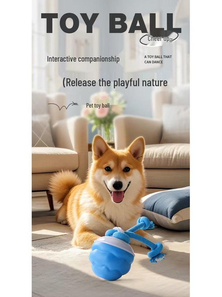 Interactive Dog Toy Ball with Barking Sound & Leash for Small To Medium Dogs