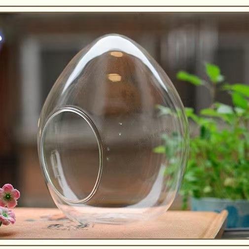 Egg Shaped Glass Bottles Succulent Glass Vase Hydroponic Fleshy Micro Landscape Glass Terrarium Moss Decor Only Bottle No Plante