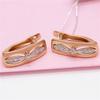 Purple Gold Classic Rhombus Zircon Earrings Luxury Rose Gold Square Hollow Ear Buckle Jewelry