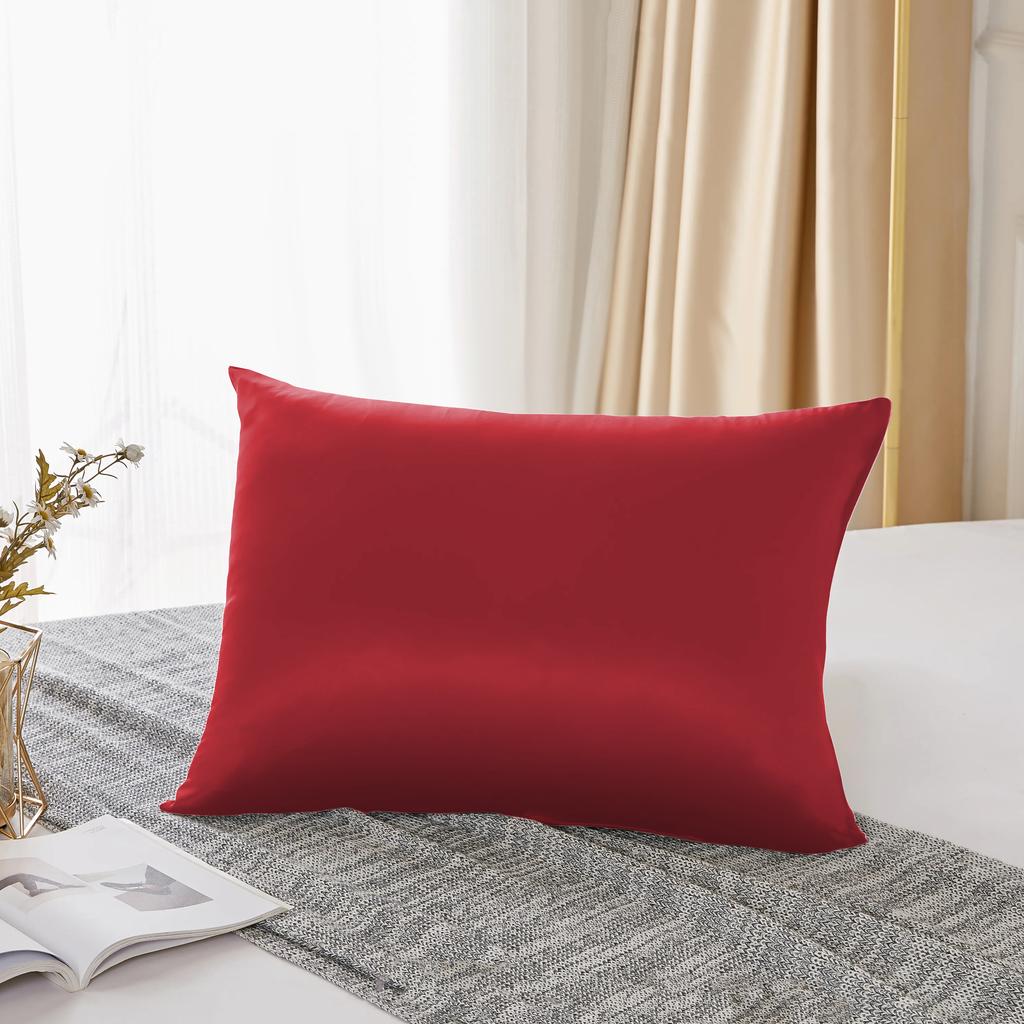 25 Momme  Natural Mulberry Silk Pillowcase,Both Sided Pure Silk Pillow Cover Gifts for Women,Pure Silk Pillowcsae For Hair