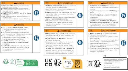 Hannah Martin Women's Ultra-Thin Stainless Steel Quartz Wristwatch (White Dial, Rose Gold Strap)