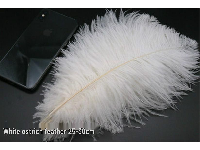 White Feathers for DIY Handmade Clothing & Jewelry Accessories