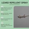 Repellents for House Gecko Spray 50ml Natural Lizard Repellents Powerful Reptile Deterrents Pet Safe Repel Repeller for Ants