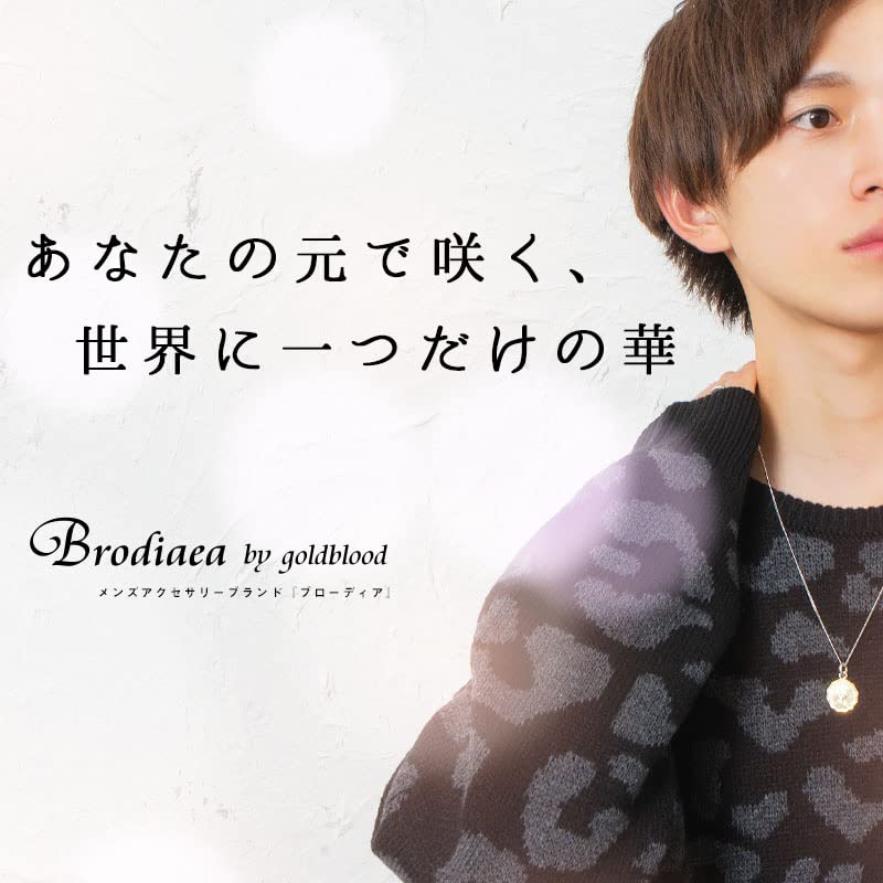 Brodiaea Herren Stahl Fischgrätenkette (S), Silber, Panzerketten-Halskette, Edelstahl, Hypoallergen [Gesamtlänge: 50cm]