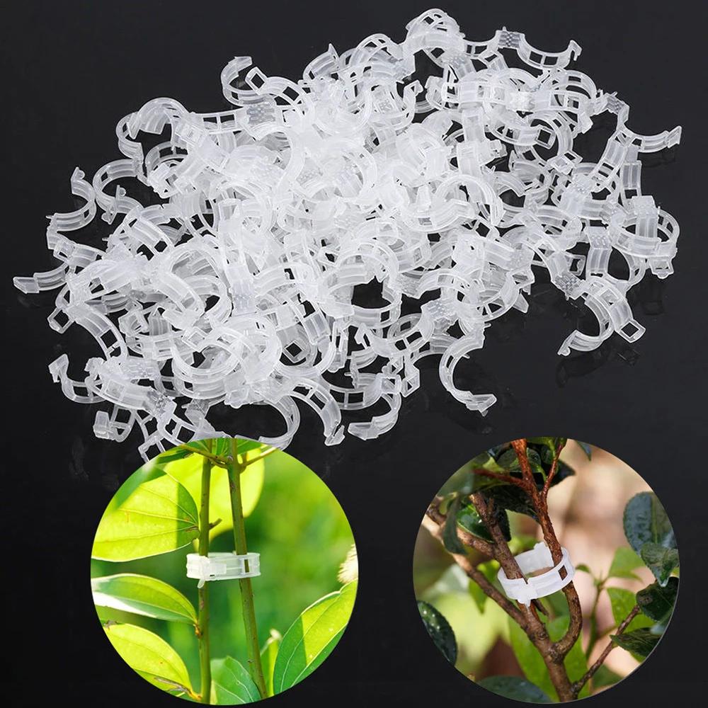 50/100Pcs Reusable Plastic Plant Clips Gardening Grafting Fixing Clamp Support Clip for Tomato Vegetable Plant