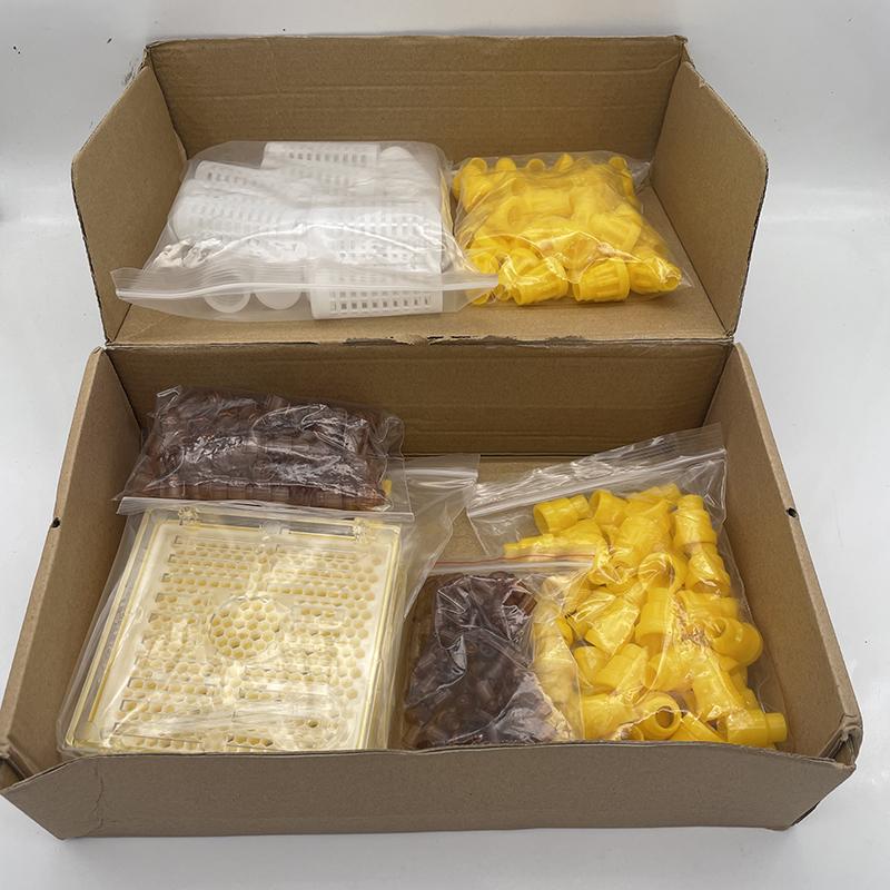 1SET Apiculture Beekeeping Jenter Queen Rearing Incubation System Box Cage Holder Plastic Cell Cup Bees Tool Beekeeping Supplies