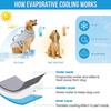 Dog Cooling Vest Rapid Cooling Technology Pet Clothes with Reflective Strips Summer UV Protection