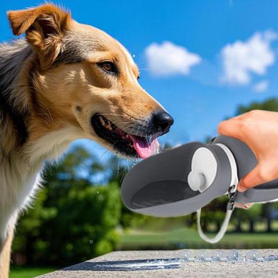 Water Bottle For Dogs 800ml Foldable Leakproof Water Dispenser Bowl For Puppy Pet Drinking Feeder With Lanyard For Small Medium