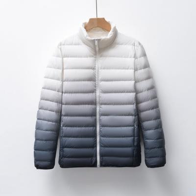 Veste légère en polaire et duvet pour homme manteau d'hiver à col montant couleur dégradée vêtements pour homme