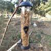 Hanging Birds Feeder Squirrel-proof Birdfeeder Outdoor Birdseed Dispenser Attracts Blue Tits Finches for Garden Wild Birds