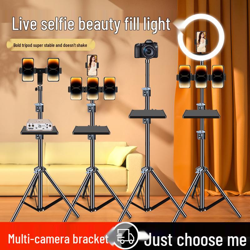 Dual-Position Carbon Steel Phone Stand with Fill Light for Outdoor Streaming