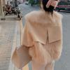 Imitation Fur Jacket Women's Short Thickened Leather Jacket Light Autumn and Winter New Imitation Fox Fur Top