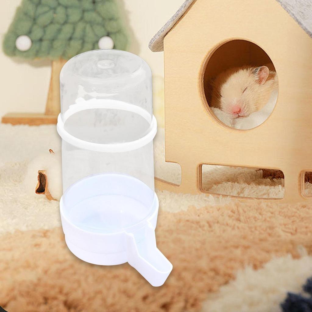 Bird Feeder Food Dispenser Viewing Clear Bowl Small Animal for Canary Finch