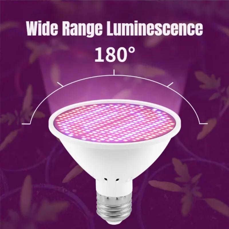 Светодиодная лампа E27 Grow Light Full Spectrum Phytolamp для выращивания растений в помещении, семена цветов, гидропоника, лампа для выращивания в теплице, Grow Box