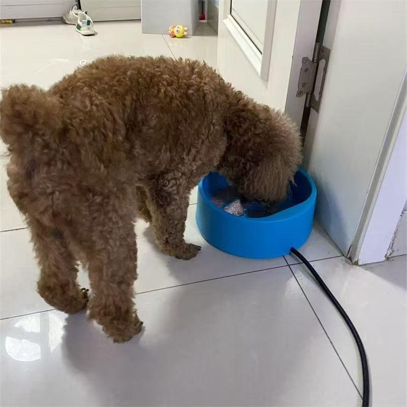Pet Constant Temperature Heated Drinking Bowl Cat Dog Water Bowl Heated Drinking Dispenser For Dog Cat Chicken Duck Feeding Tool