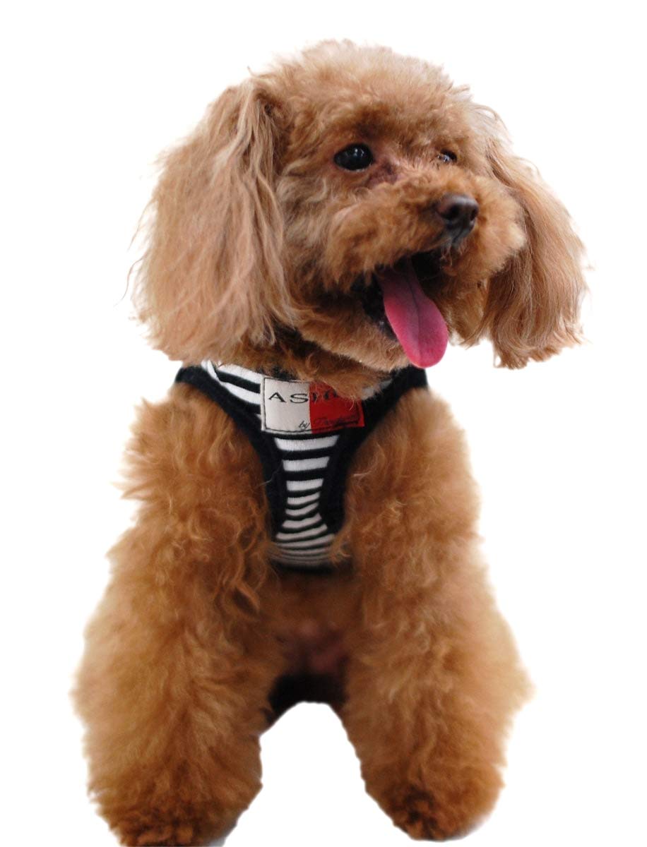 

Dog Wear Harness and Border Tezukayama Small and Medium Dogs Harness Chest circumference [ASHU] Leash, Black, Houndcam, (SS, S, M, L) (Wear (SS чёрный