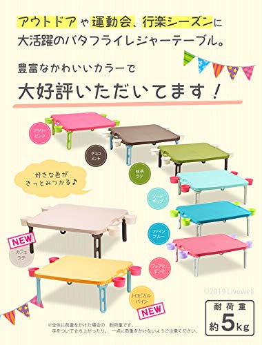 Livewell Folding Table Picnic Table Butterfly Leisure Table Square Soda Pop