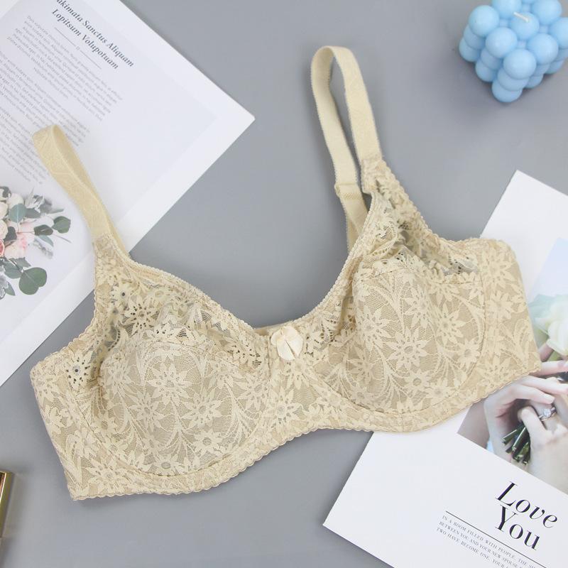 Hot Selling Sexy Back Lace Bra Ultra-thin Adjustable Traceless Underwear Women's Big Breasts Show Small Gathering Bra