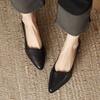Fashion 2025Women's Coarse Heel Shoes Spring New Pointed Head Shallow Mouth Soft Sole Waterproof Non-slip Low-top Shoes