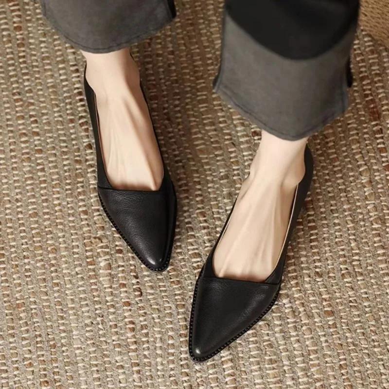 Fashion 2025Women's Coarse Heel Shoes Spring New Pointed Head Shallow Mouth Soft Sole Waterproof Non-slip Low-top Shoes