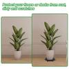 12 Pcs 8 Inch Plant Level Pot Elevator Plant Stand Heavy Duty Plant Stand Black Round Stand Saucer Plant Flower Pot Holder