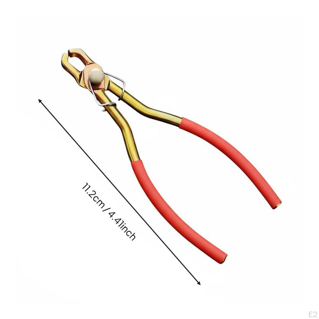 Conifer Nut Sheller LaborSaving Kernel Opener Tool Versatile Shelling Pliers for Home