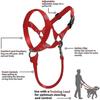 Dog Head Collar, No Pull Training Tool For Walking Dogs, Includes Free Training Guide, Xl
