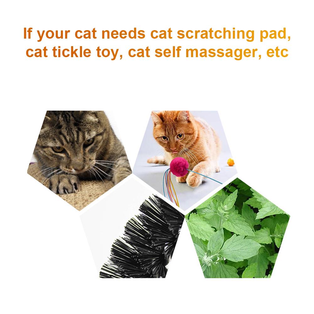 Katten Zelfmassager Katten Boog Zelfverzorgend Krabber Speelgoed Borstel Kat Krabplank beige