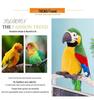 Creative Cute Macaw Parrot Plush Toy - Funny Bird Doll & Children's Birthday Gift