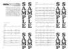 Band Score  Guitar Accompaniment "Girlfriend Loves Lies Too Much"