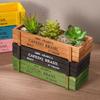 Retro Boxes Crates Tools Sundries Storage Case Multifunction Wooden Holder for Indoor Plant Flower Retro Planter