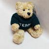 [USED] British Teddy Bear's younger brother