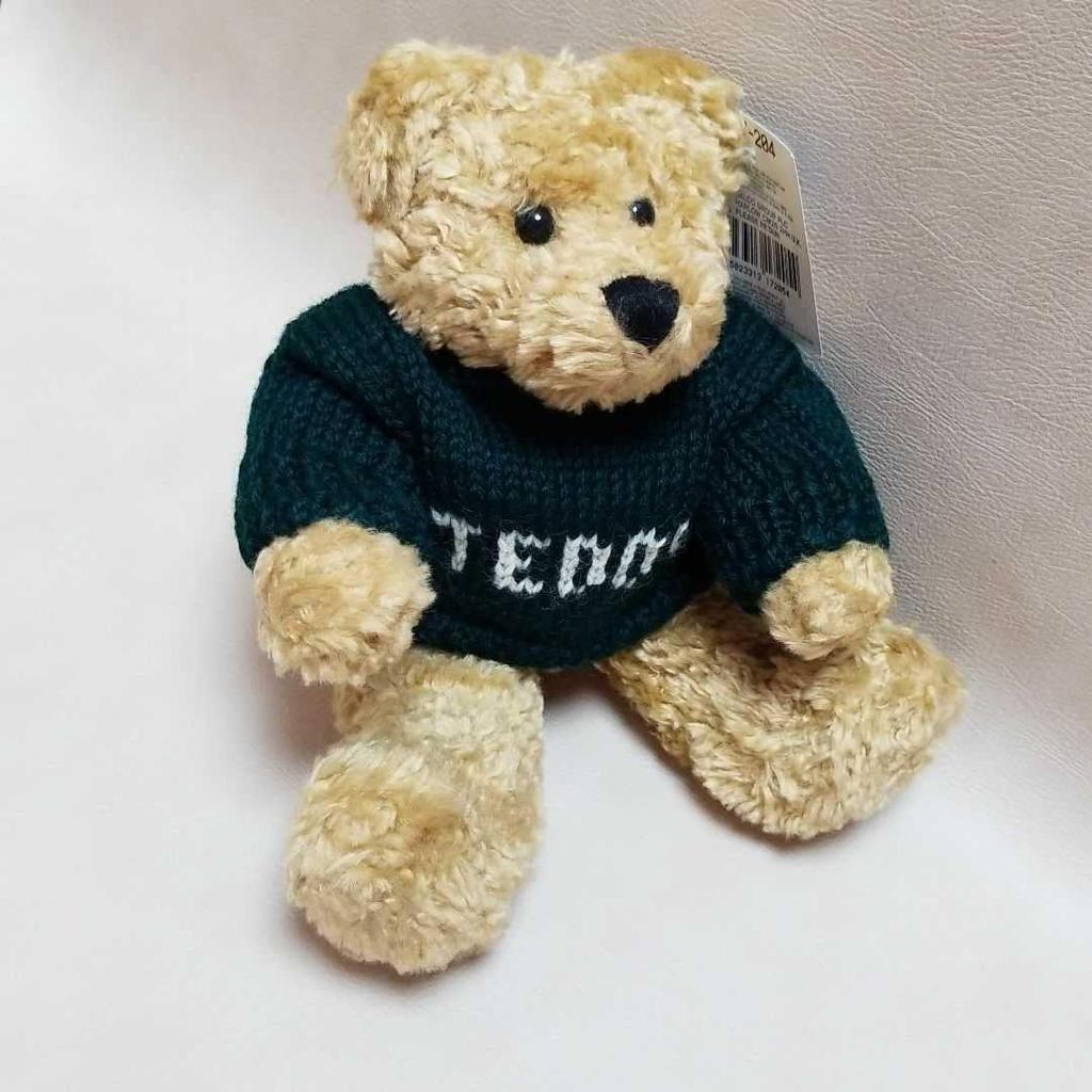 [USED] British Teddy Bear's younger brother
