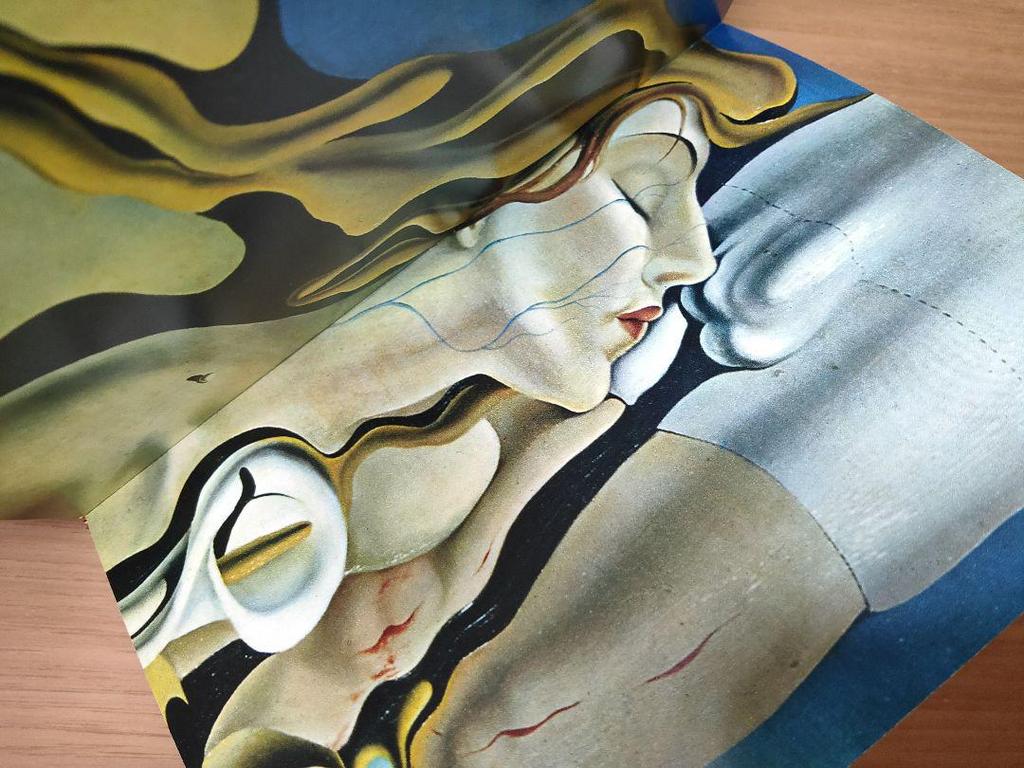 [USED] Dali Par Dali Dali Art Collection French