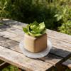 Plastic Flower Pot Tray With Pet Material And Dustproof Design For Garden And Home Use