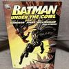 [USED] Batman: Under The Cowl Justice League Robin