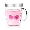 Samadoyo-Heat-Resistant Glass Tea Cup, Green Tea Cup with Filter, Simple Tea Cup, 400ml
