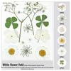 Handmade Pressed Flower Bookmark and Epoxy Sticker Pack with Real Leaf and Plant Specimens for DIY Face Makeup.