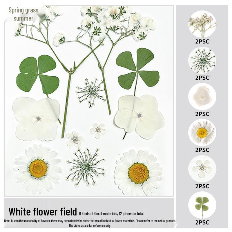 Handmade Pressed Flower Bookmark and Epoxy Sticker Pack with Real Leaf and Plant Specimens for DIY Face Makeup.