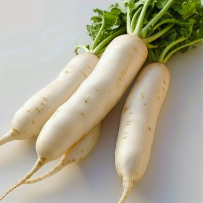 200 Japanese Radish Seeds (Daikon) - Semi-Wild Permaculture