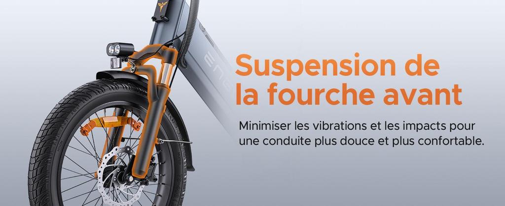 ENGWE Elektrofahrrad für Erwachsene, 250W 100Nm Mittelmotor, unterstützt App-Standortverfolgung, 48V 19,2AH/38,4AH, Reichweite bis zu 180/350 km, LE20 Gepäckbox.